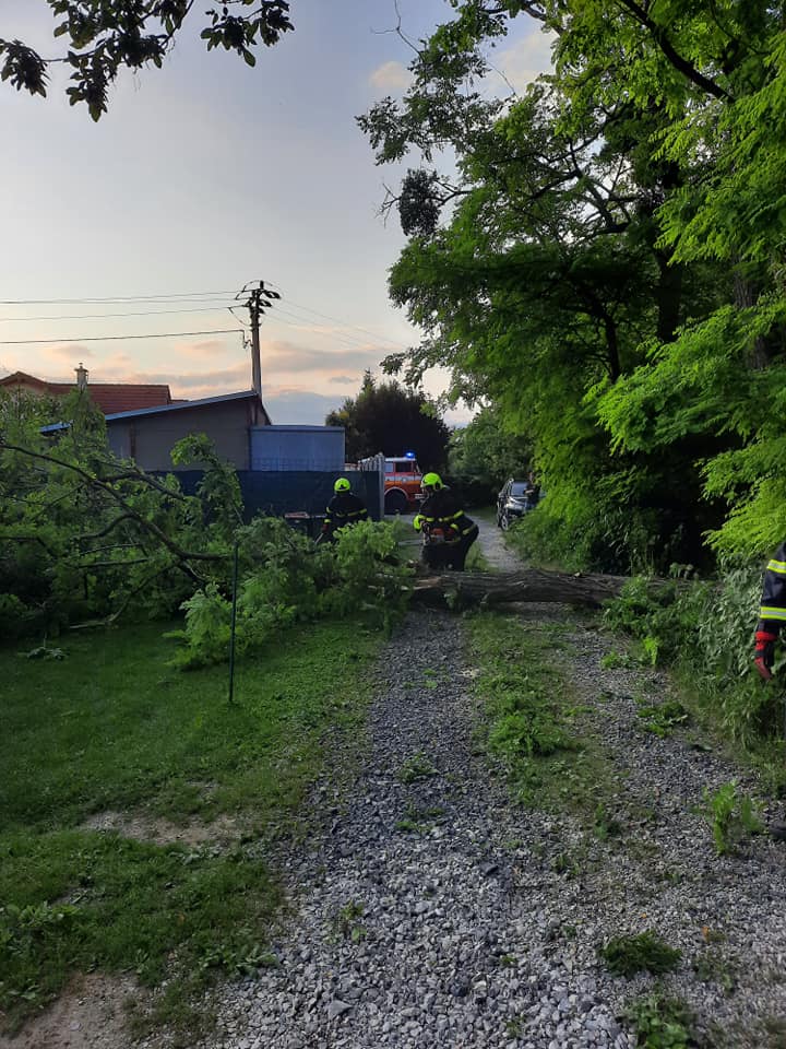 Vyvrátený strom na Lesnej ulici