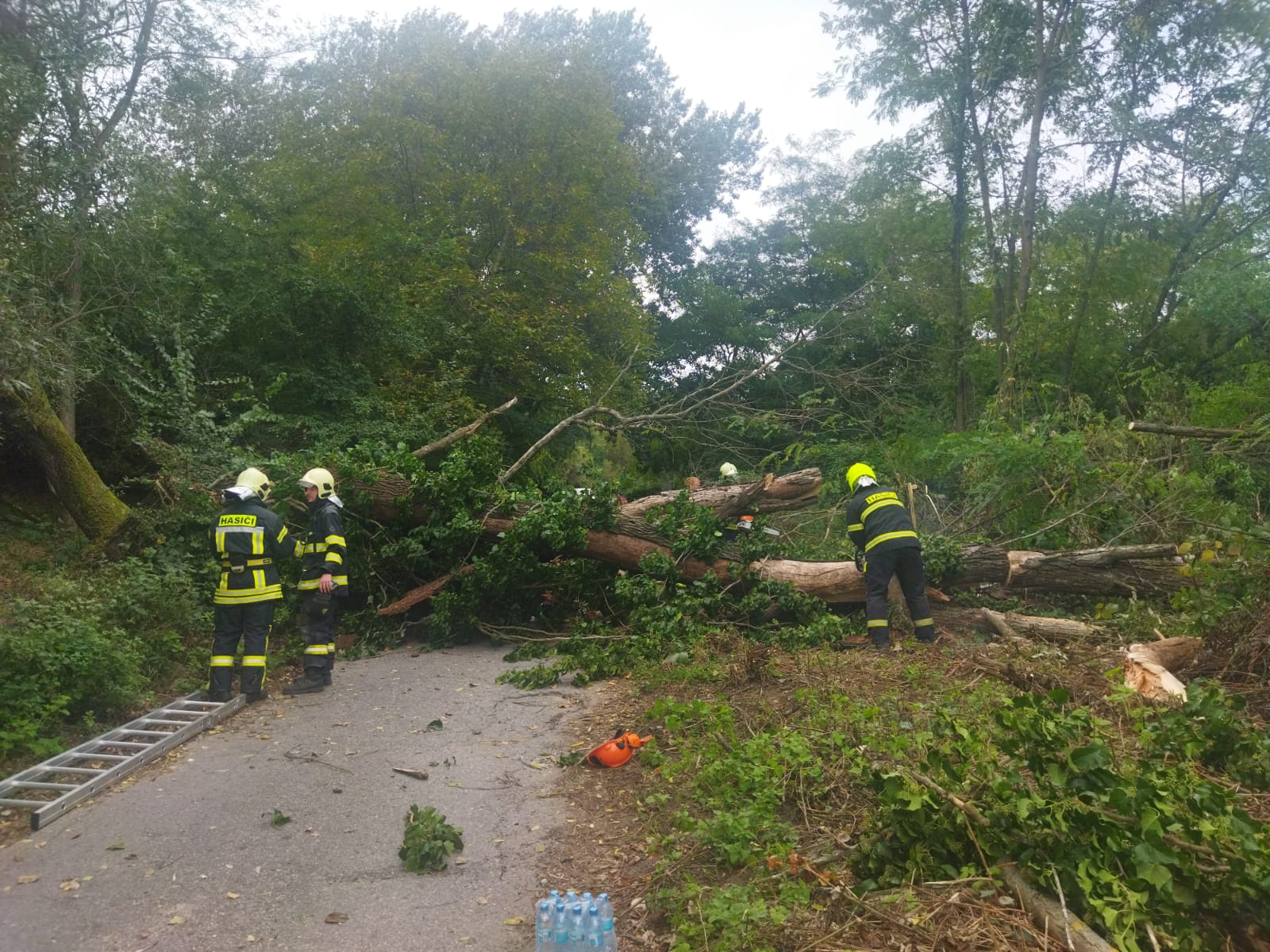 Vyvrátený stĺp a strom v dôsledku silného vetra