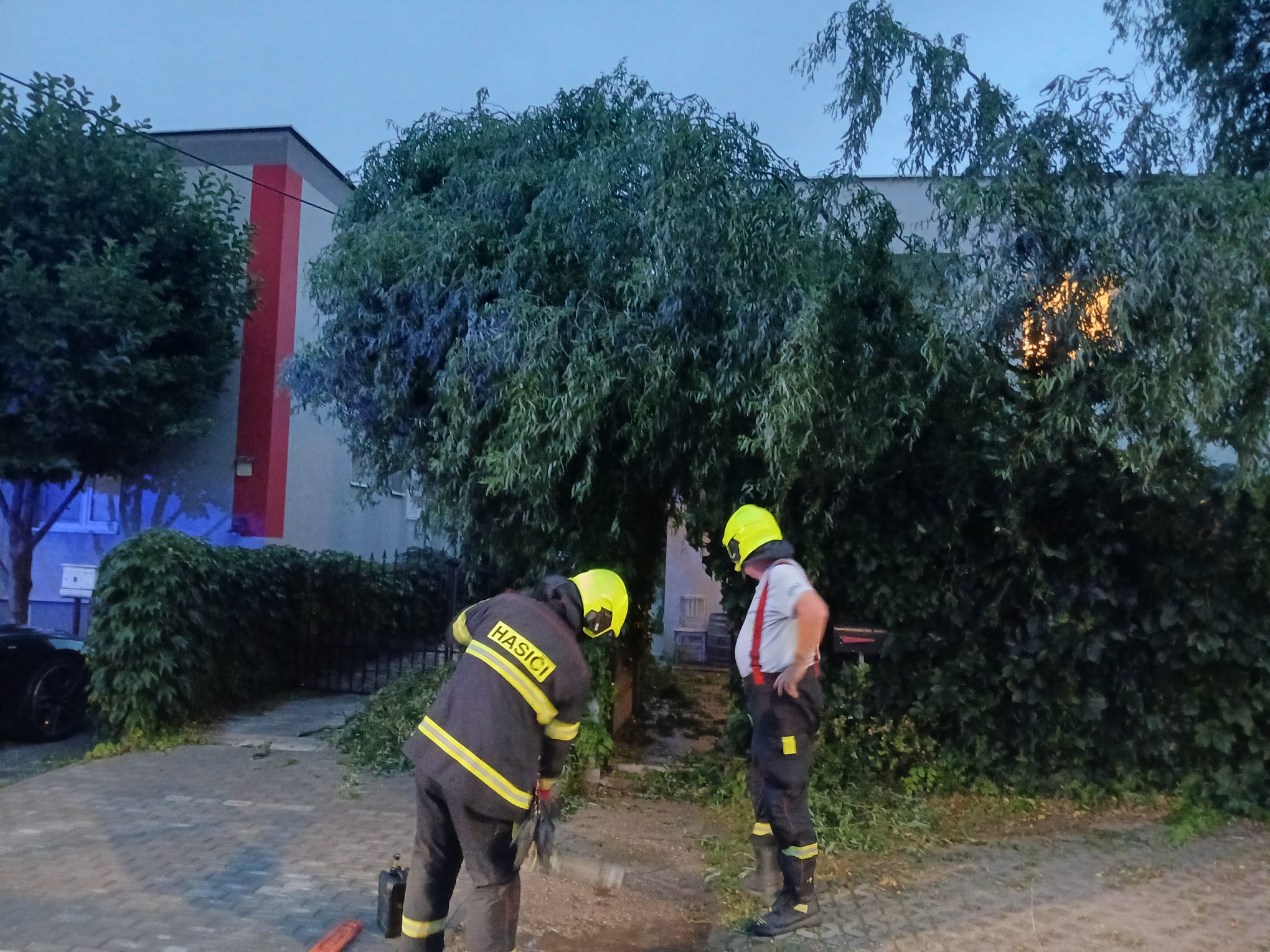 Spadnutý strom na Štúrovej ulici