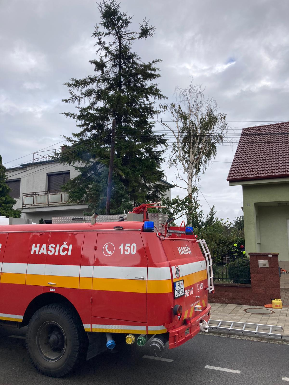 Vyvrátený strom vo Vajnoroch